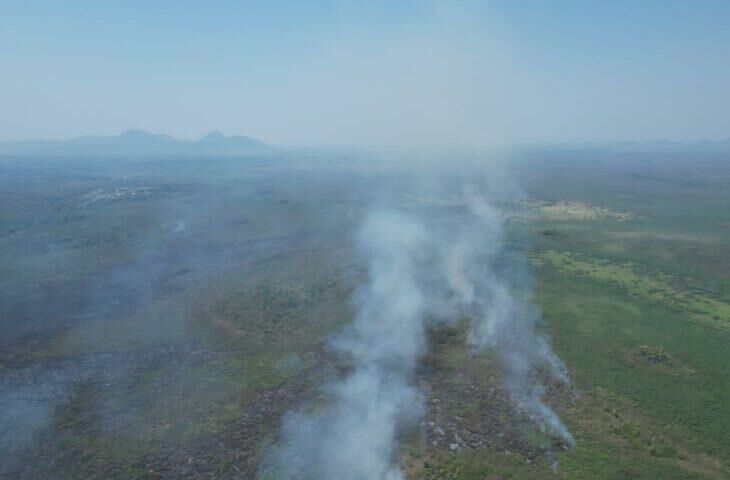 Imagem de compartilhamento para o artigo Bombeiros combatem incêndios no Pantanal após seis dias de atuação da MS Todo dia
